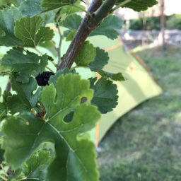 Camping in Baks-Rrjollë