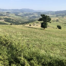 Einige Kilometer mehr auf der Via Appia nach Potenza