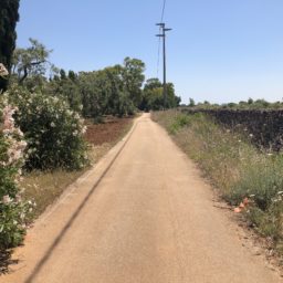 Fahrt übers Land nach Lecce