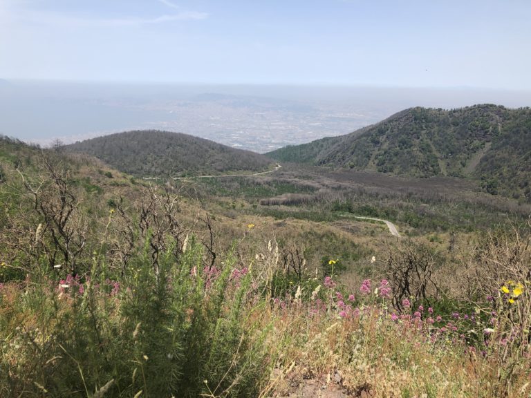 Vesuv und Herculaneum Jus Reise