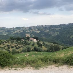 Sonntägliche Fahrt nach Gubbio