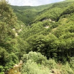 Gubbio und Fahrt durchs grüne Flusstal